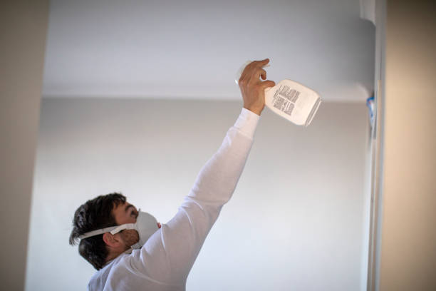 Best Water Damage Restoration  in Edgerton, OH